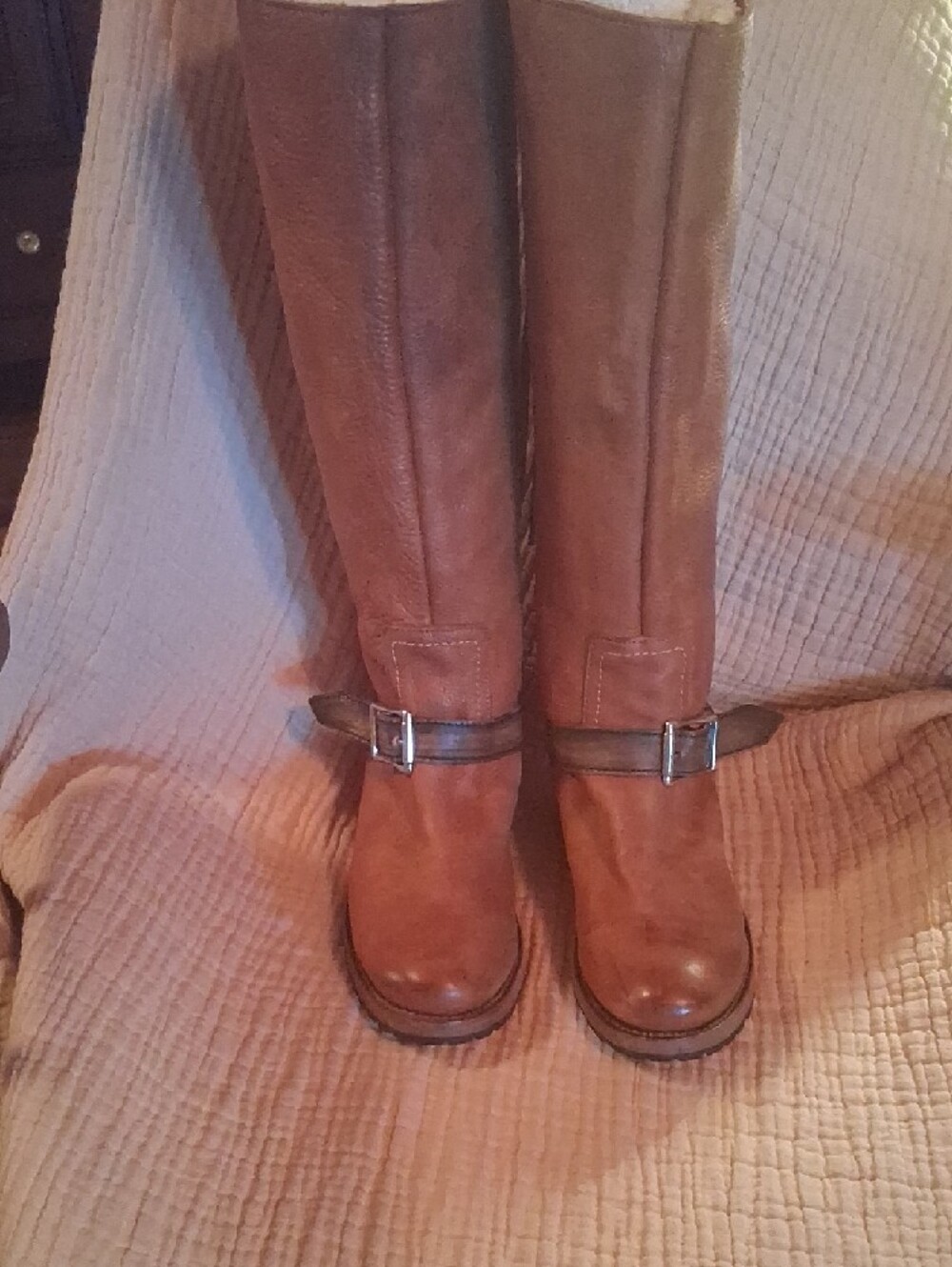 Freebird by Steven Chestnut Brown Over-the-Knee Lace-Up & Buckle Boots - Picture 2 of 4